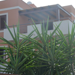 Casa Vacanze Yucca